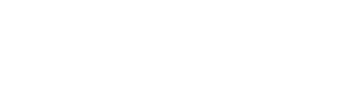 Hadis Sesi
